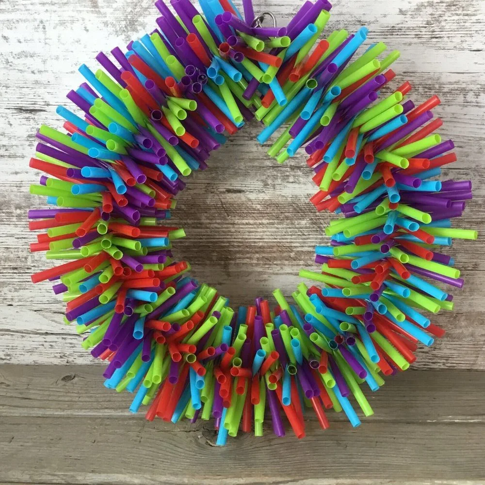 Macaw Cockatoo Silly Sid Straw Wreath Large Bird Toy - Shredding Toy